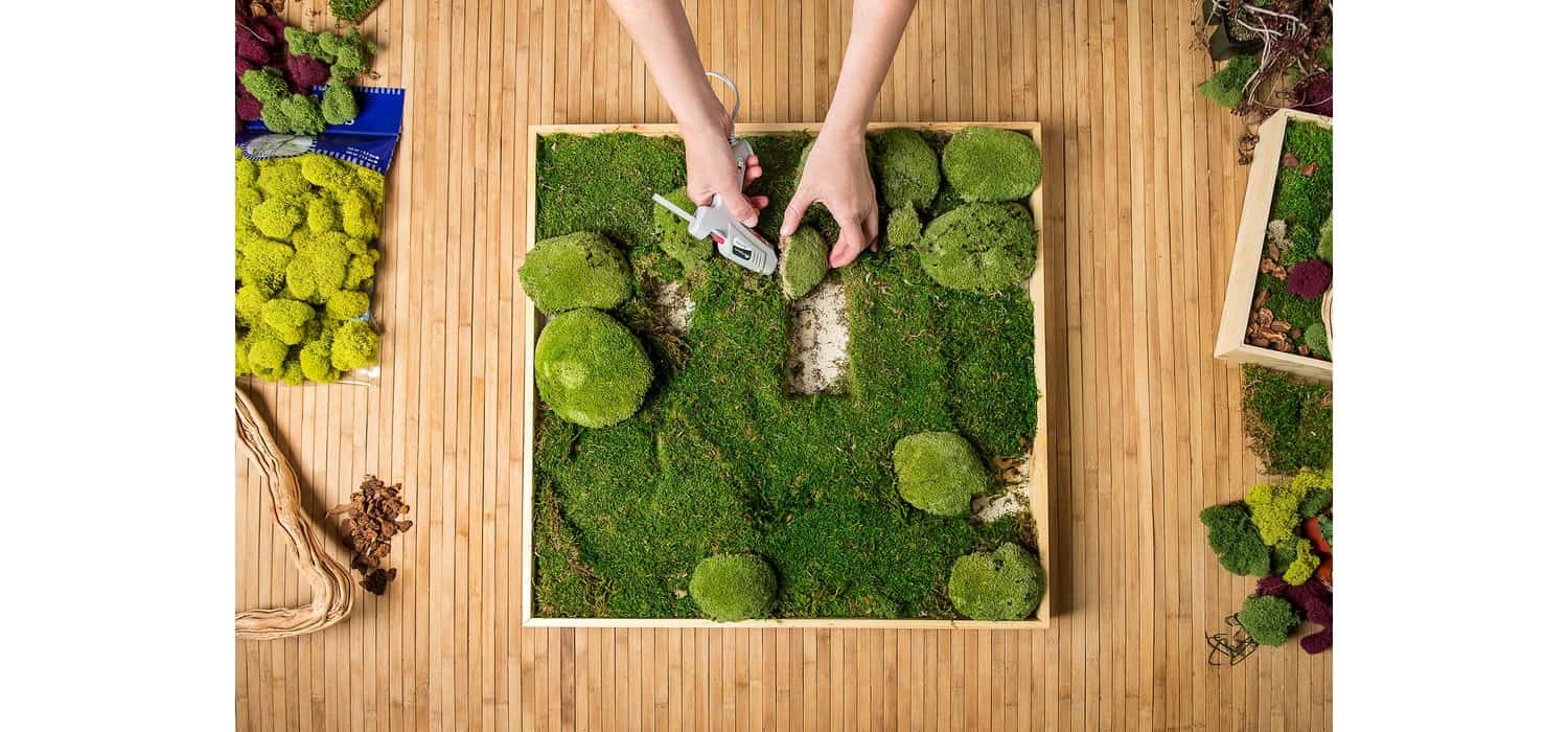 how to make a moss wall art